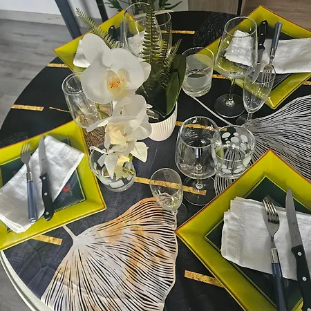 Ideal Long Sejour, Souvenirs De Provence,t2 Classe, Vue Sur Les Montagnes, Toutes Commodites! Apartment Digne-les-Bains