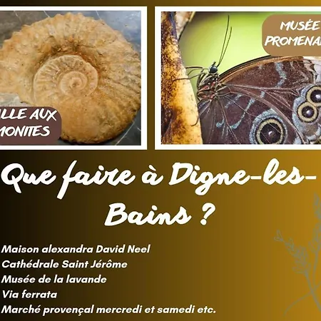 Ideal Long Sejour, Souvenirs De Provence,t2 Classe, Vue Sur Les Montagnes, Toutes Commodites! Apartment Digne-les-Bains